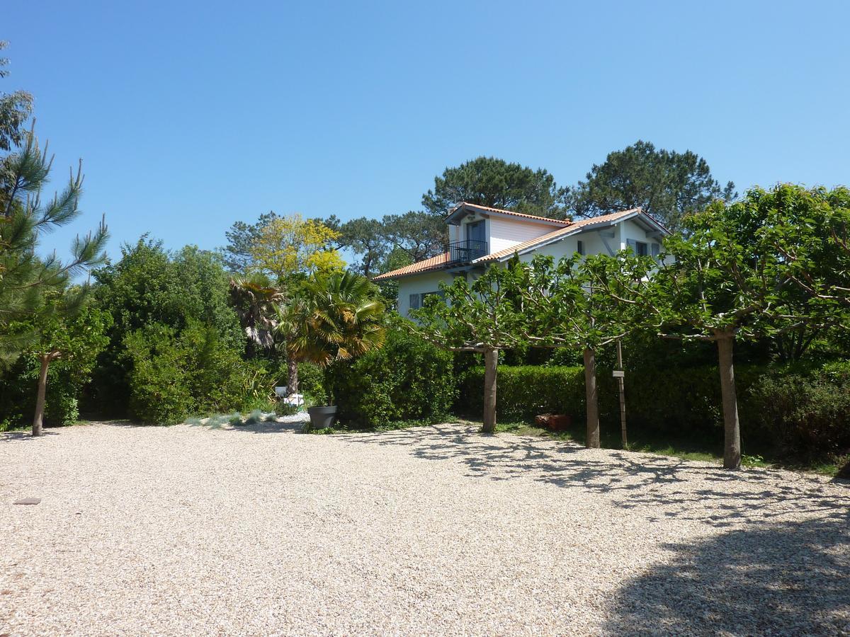 Maison Arbolateia Avec Piscine Et Spa Bidart Dış mekan fotoğraf