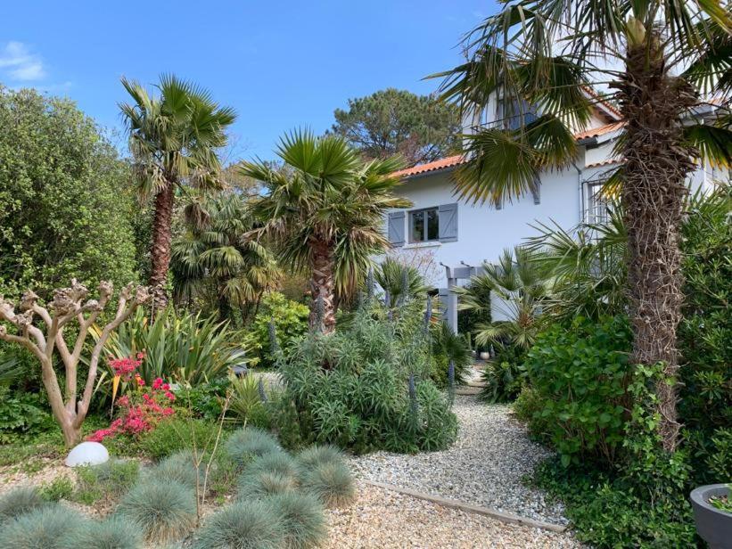 Maison Arbolateia Avec Piscine Et Spa Bidart Dış mekan fotoğraf